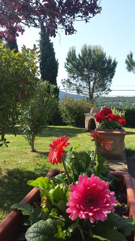 Agriturismo Il Catrino Ponteginori Eksteriør bilde