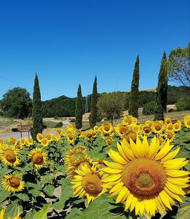 Agriturismo Il Catrino Ponteginori Eksteriør bilde