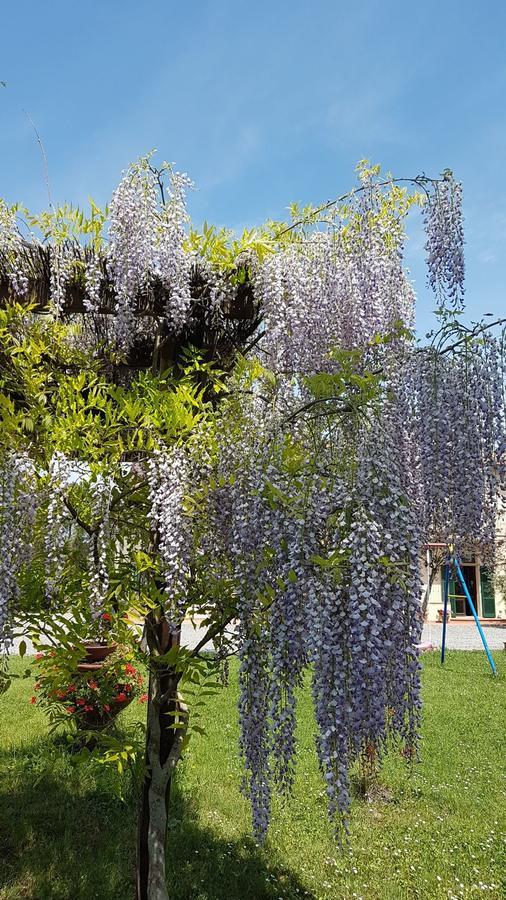 Agriturismo Il Catrino Ponteginori Eksteriør bilde