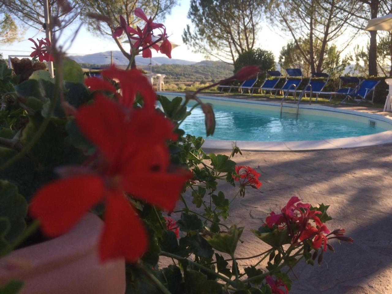 Agriturismo Il Catrino Ponteginori Eksteriør bilde